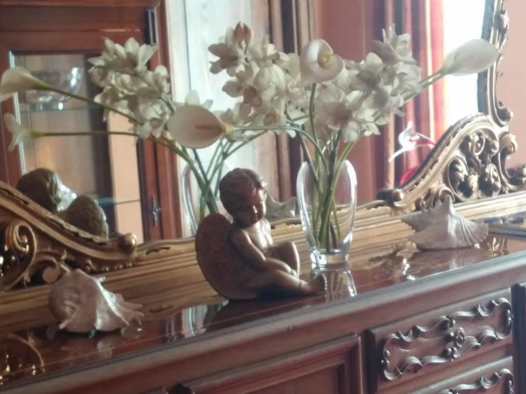 Hotel Damian Park Hotel Delle Magnolie Trofarello Zewnętrze zdjęcie