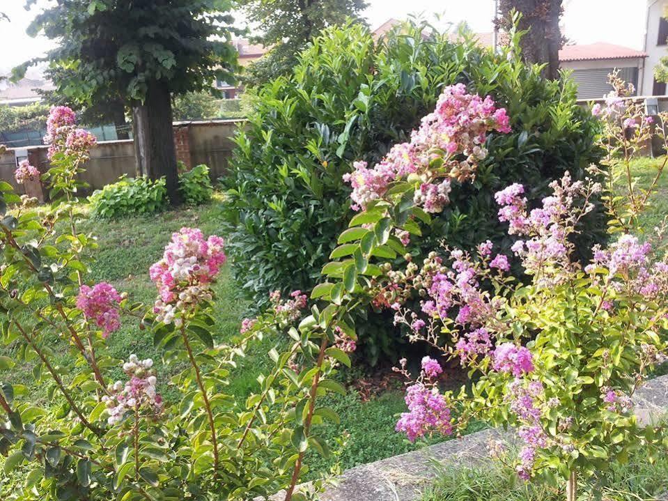 Hotel Damian Park Hotel Delle Magnolie Trofarello Zewnętrze zdjęcie