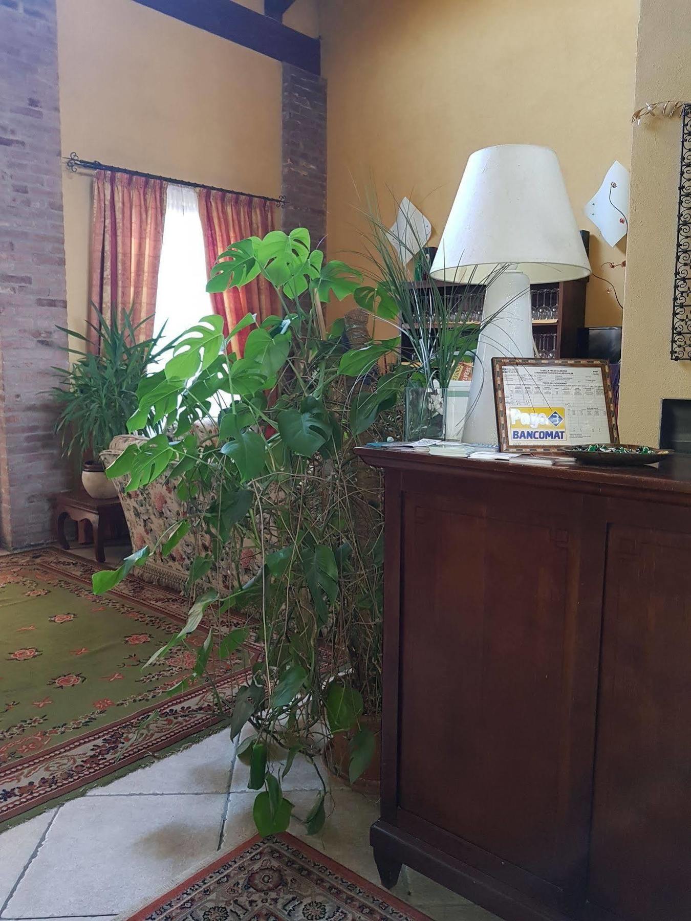 Hotel Damian Park Hotel Delle Magnolie Trofarello Zewnętrze zdjęcie